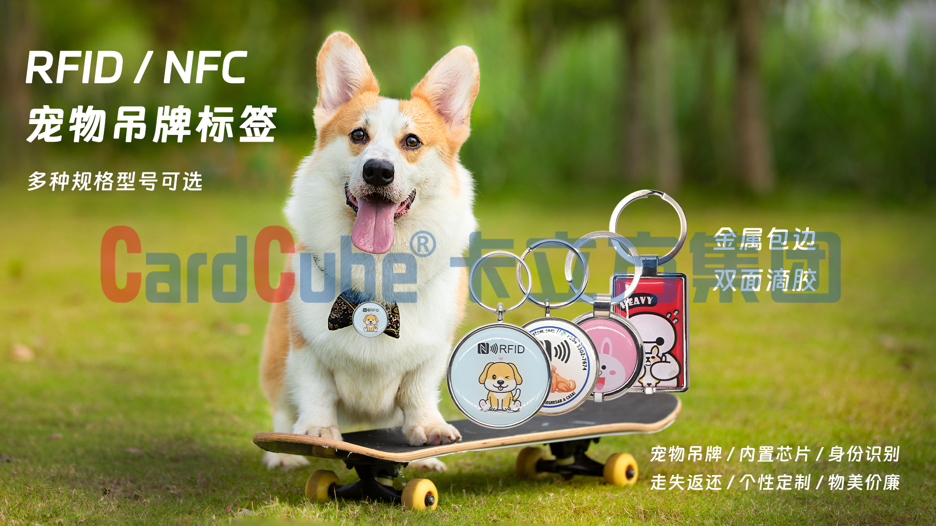 微信图片_20250305173851